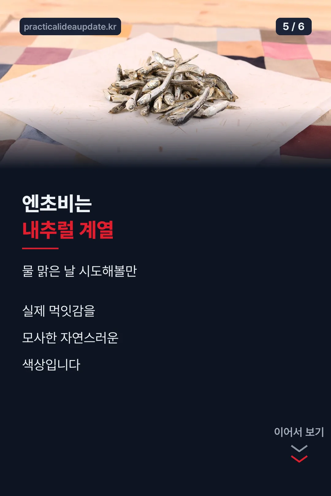 엔초비는 내추럴 계열