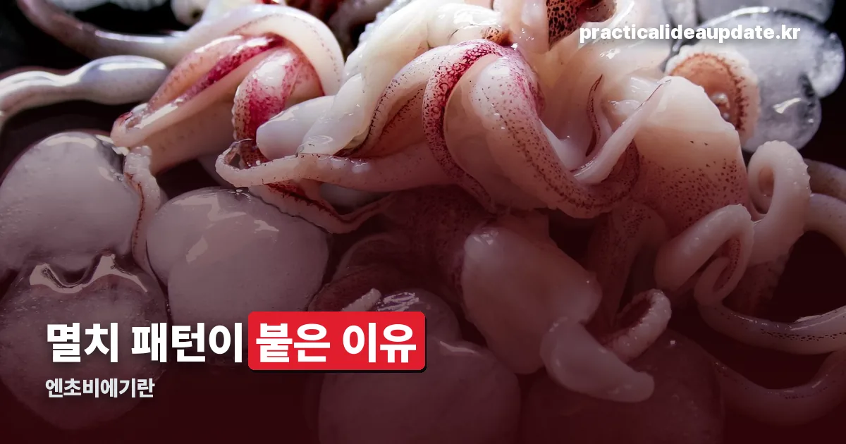 엔초비에기 정리 썸네일