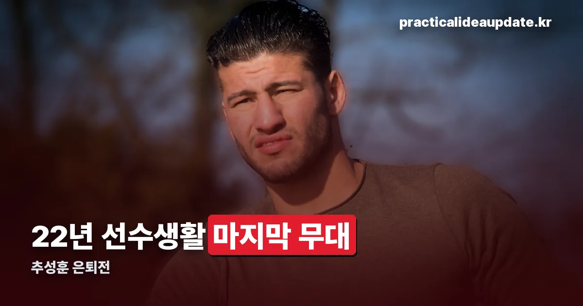 추성훈 은퇴전 정리 썸네일