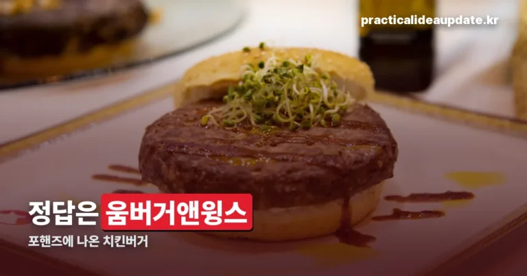 포핸즈 햄버거 정리 썸네일