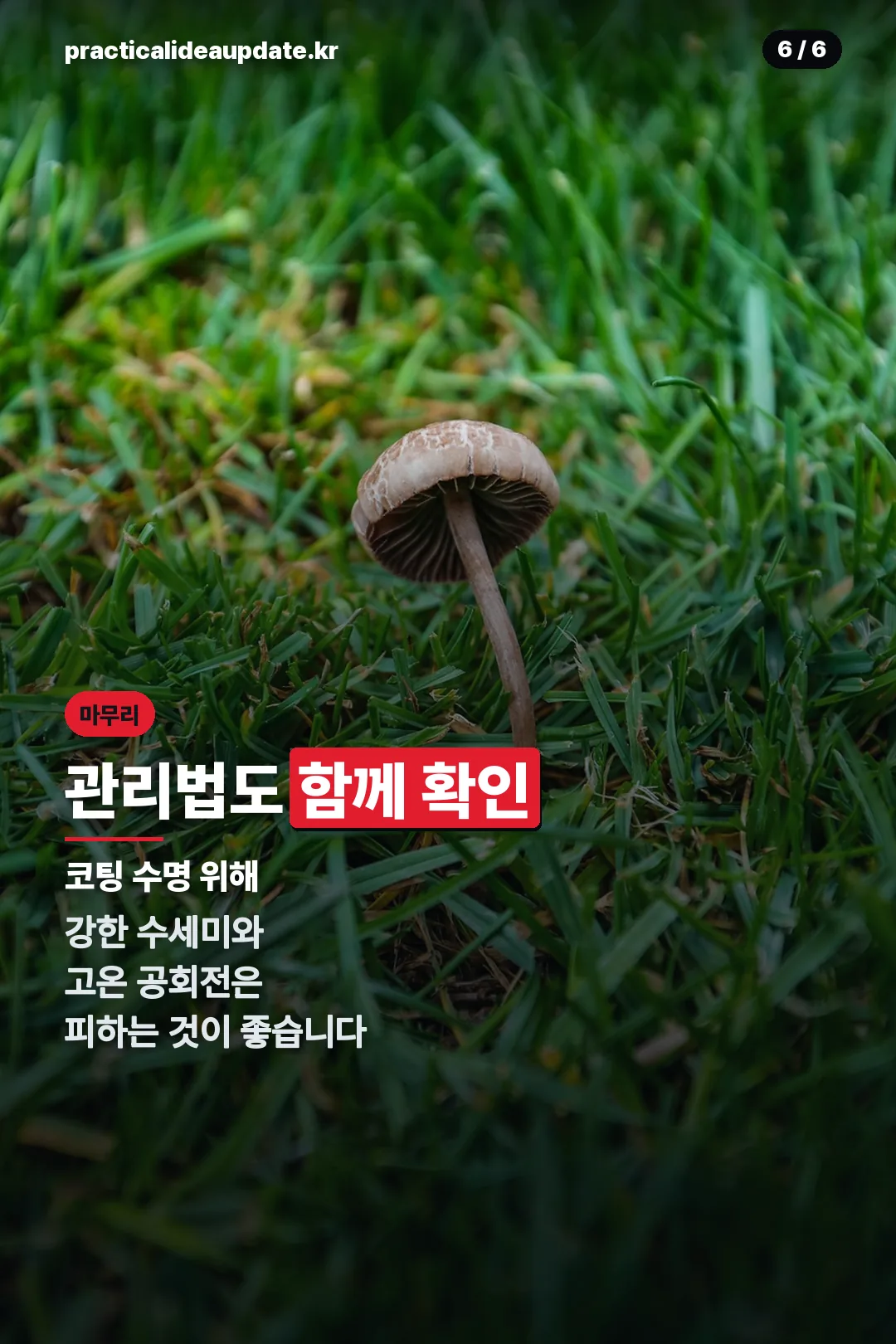 관리법도 함께 확인