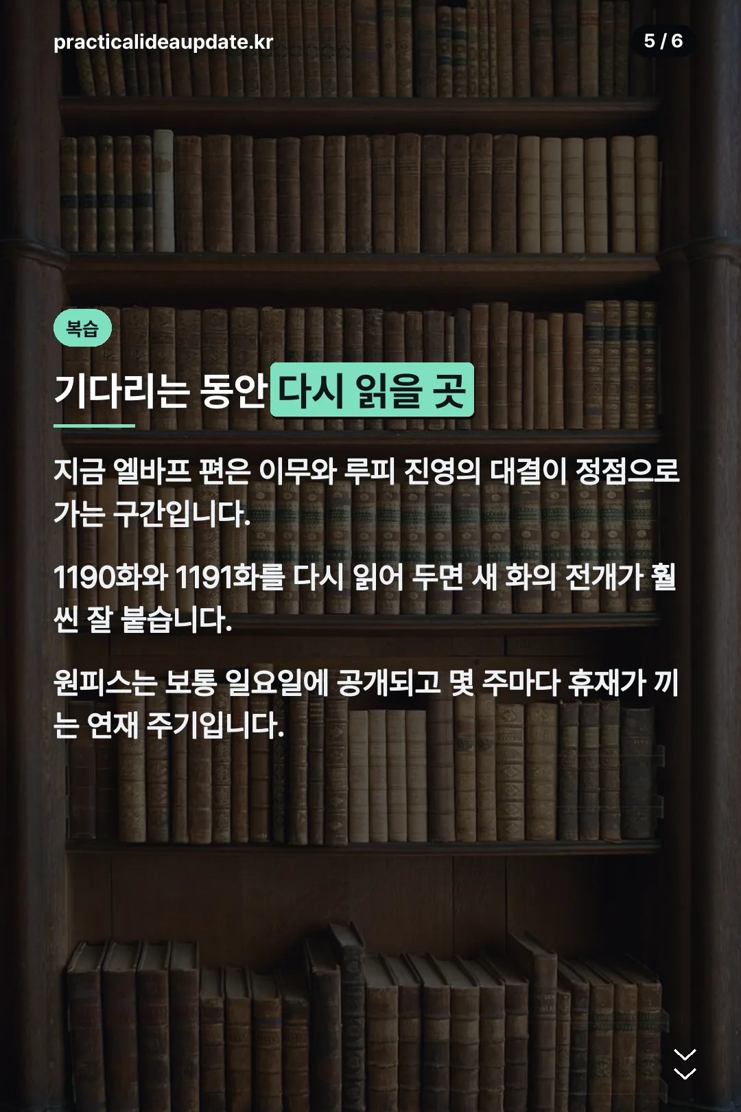 루피 로키 협공 유출 요약