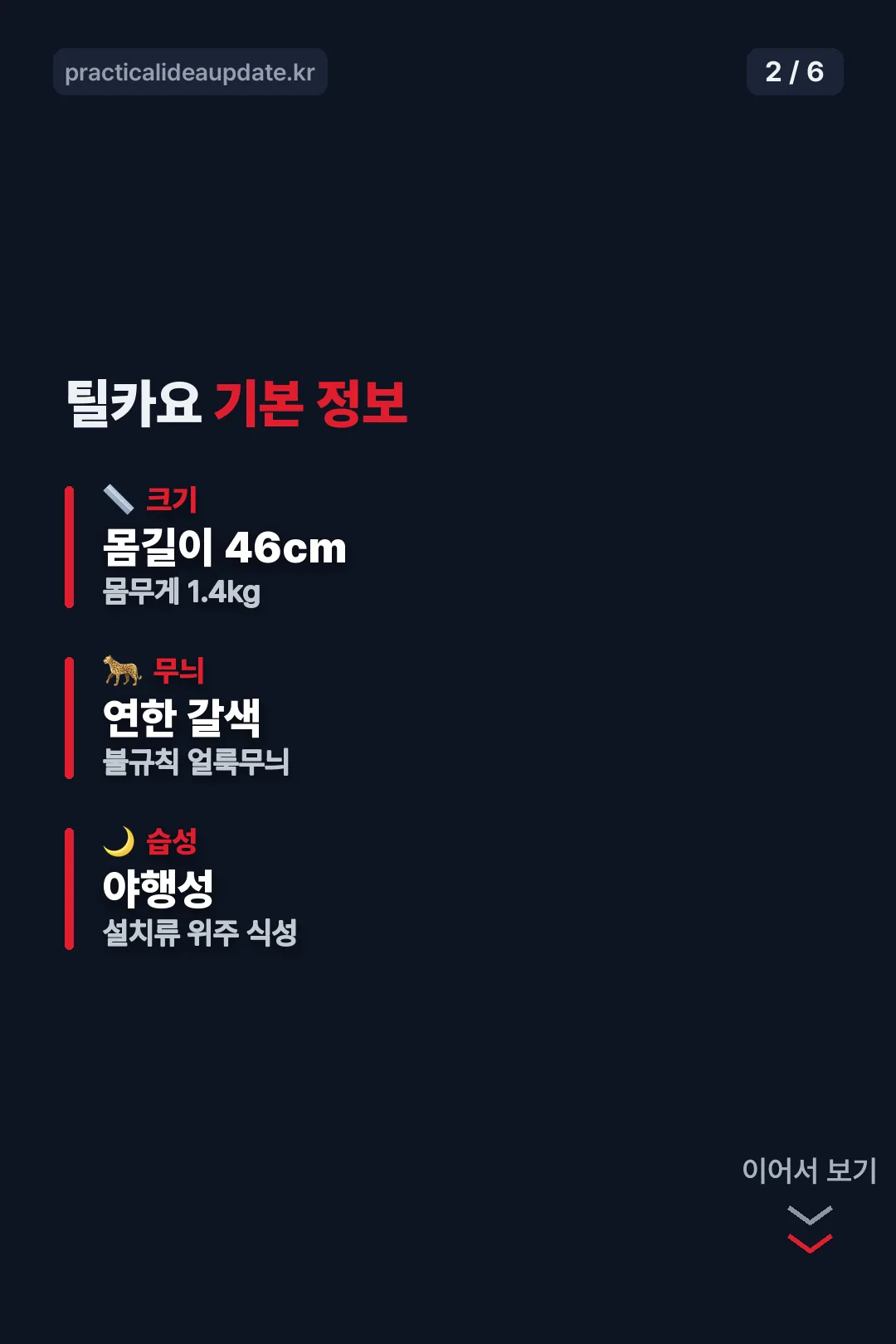기본 특징 정리