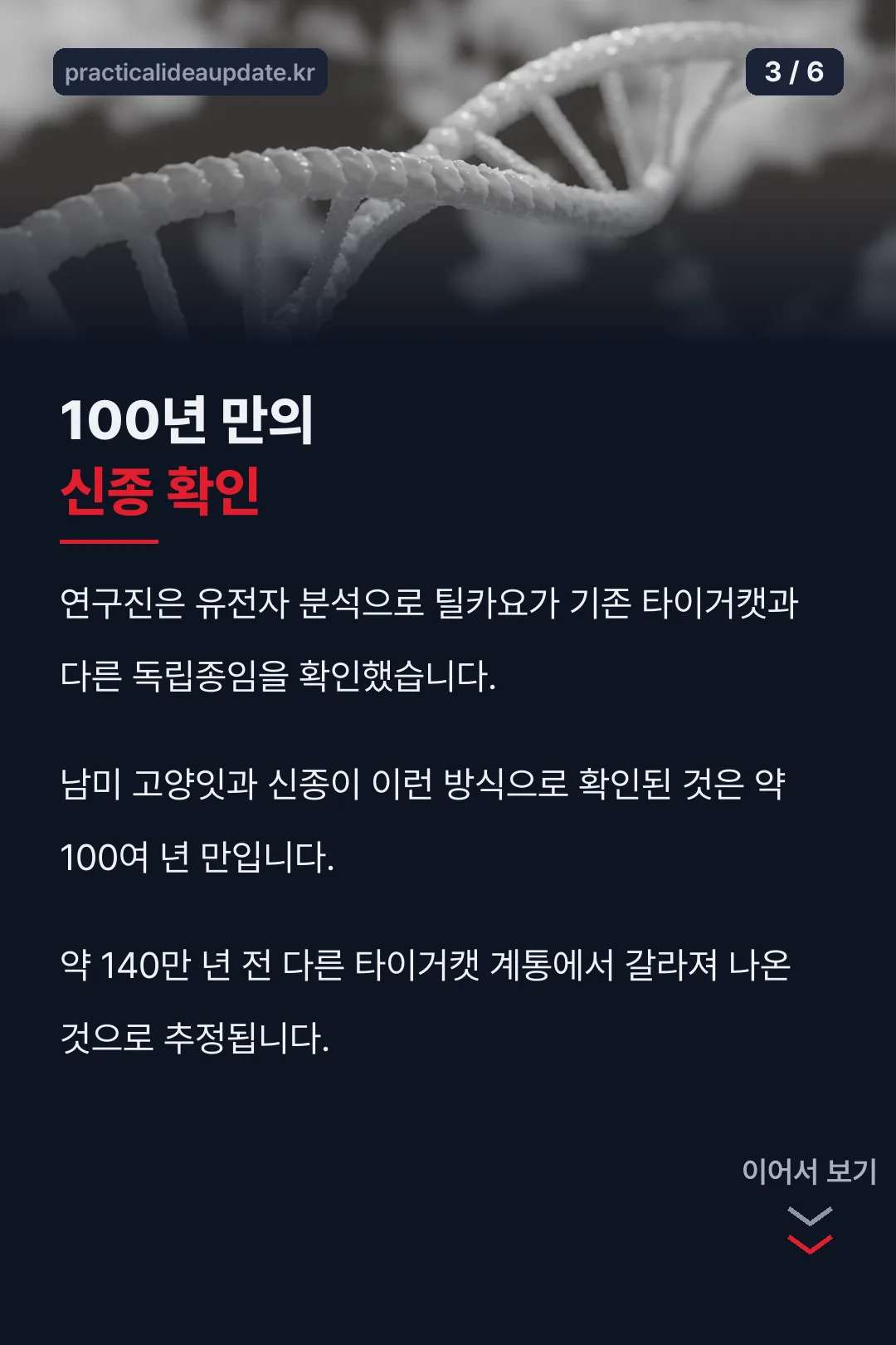 100년 만의 발견 의미