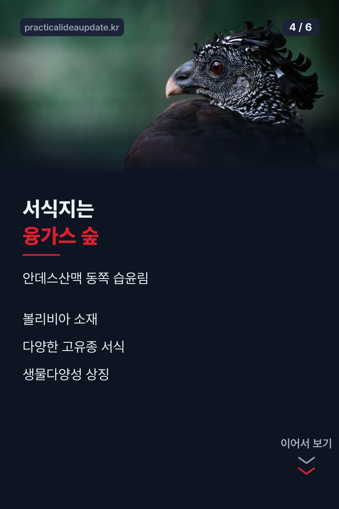 서식지 융가스숲