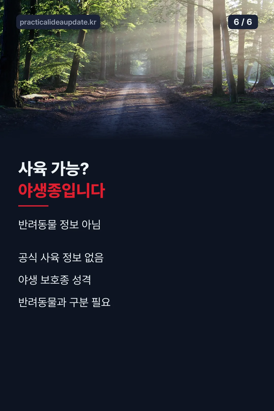 사육 불가 안내