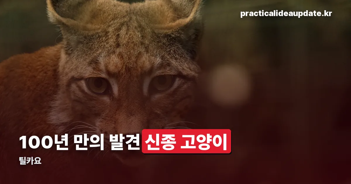 틸카요 정리 썸네일