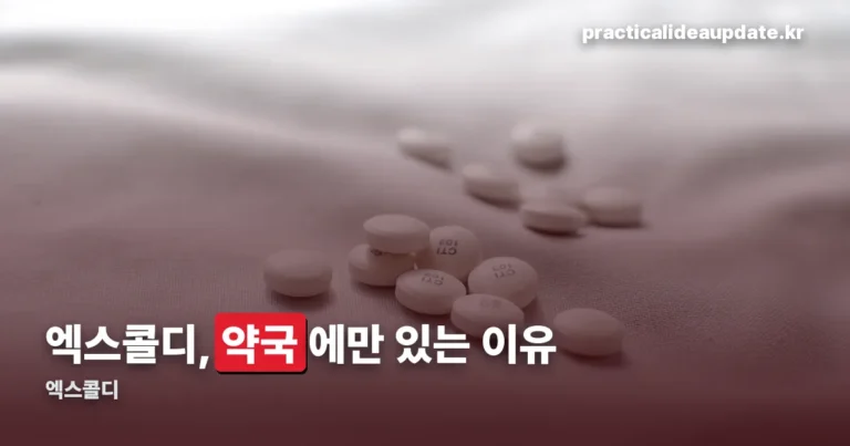 엑스콜디 정리 썸네일