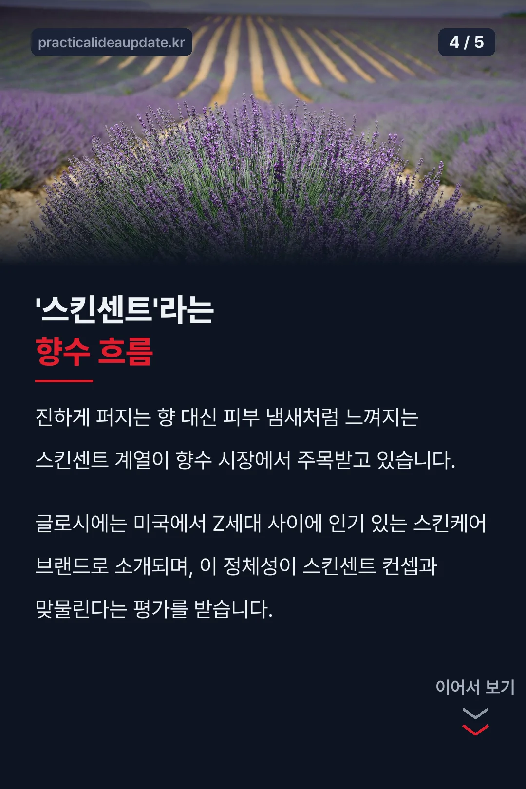 스킨센트 향수 흐름