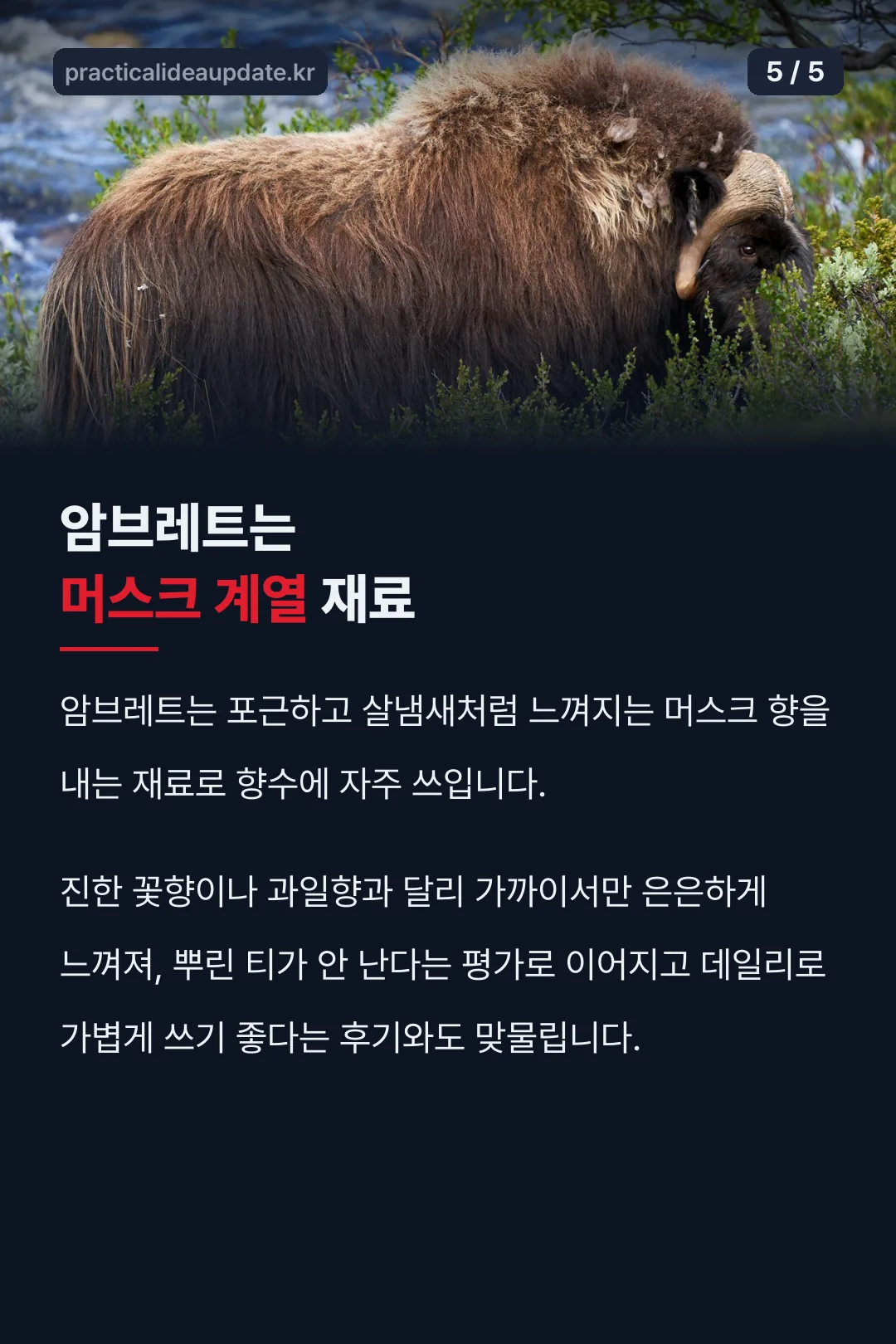 암브레트 노트 설명