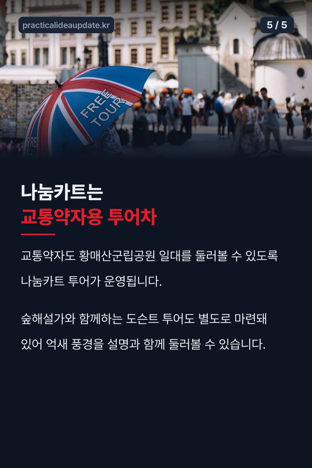 나눔카트 교통약자 투어