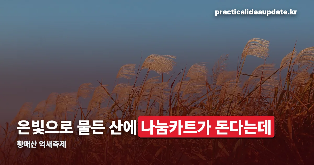 황매산 억새축제 정리 썸네일