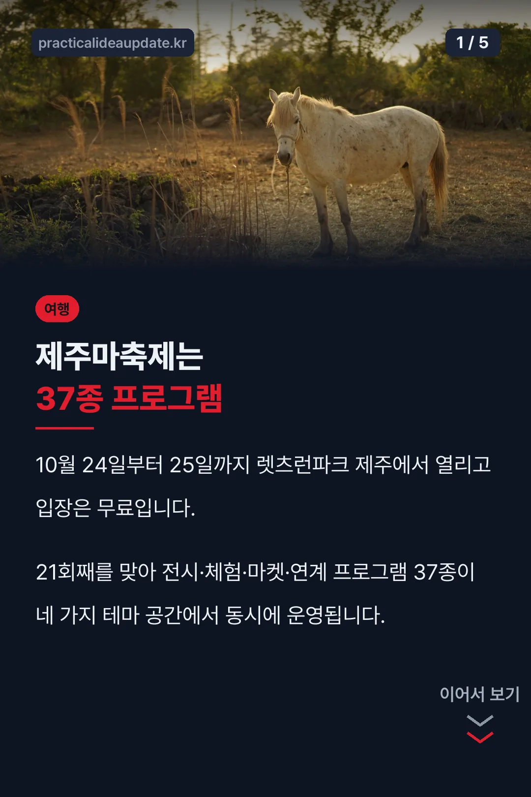 제주마축제 핵심 정리