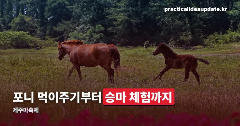 제주마축제 정리 썸네일