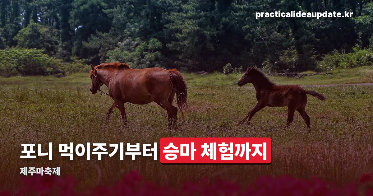 제주마축제 정리 썸네일